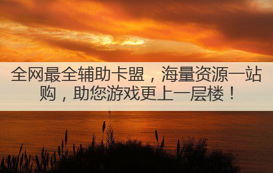 全网最全辅助卡盟，海量资源一站购，助您游戏更上一层楼！